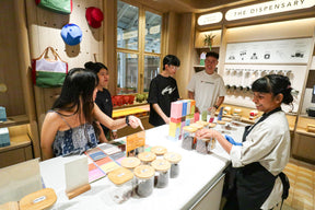 Bean to Table: Uncover the Cacao Journey