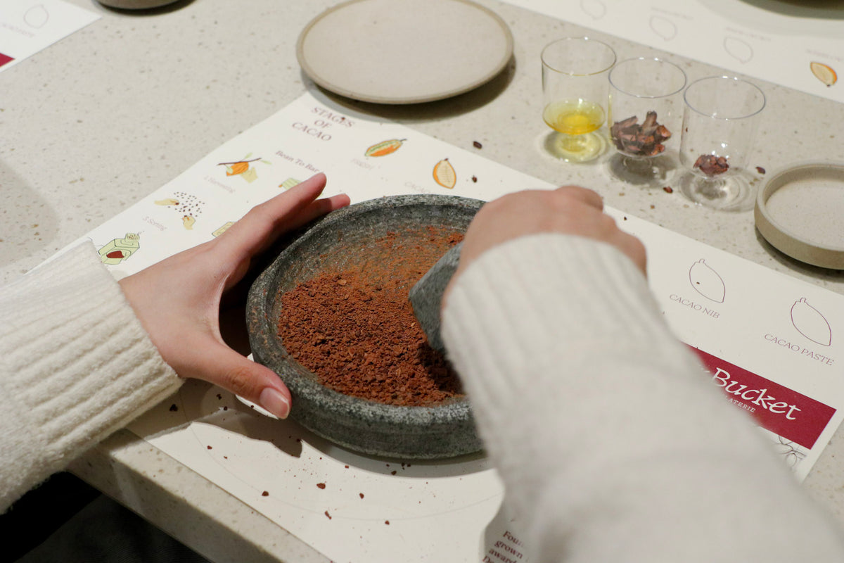 Bean to Table: Uncover the Cacao Journey