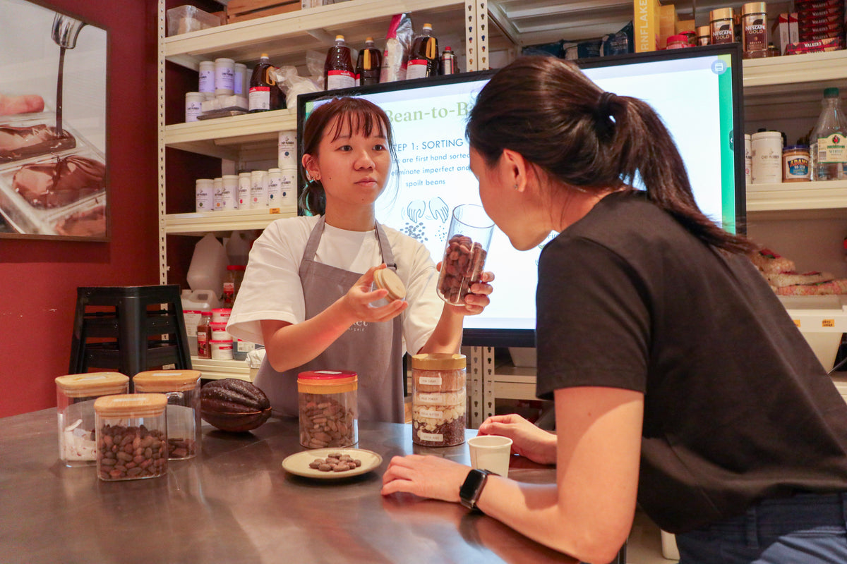 Chocolate Tour & Tasting