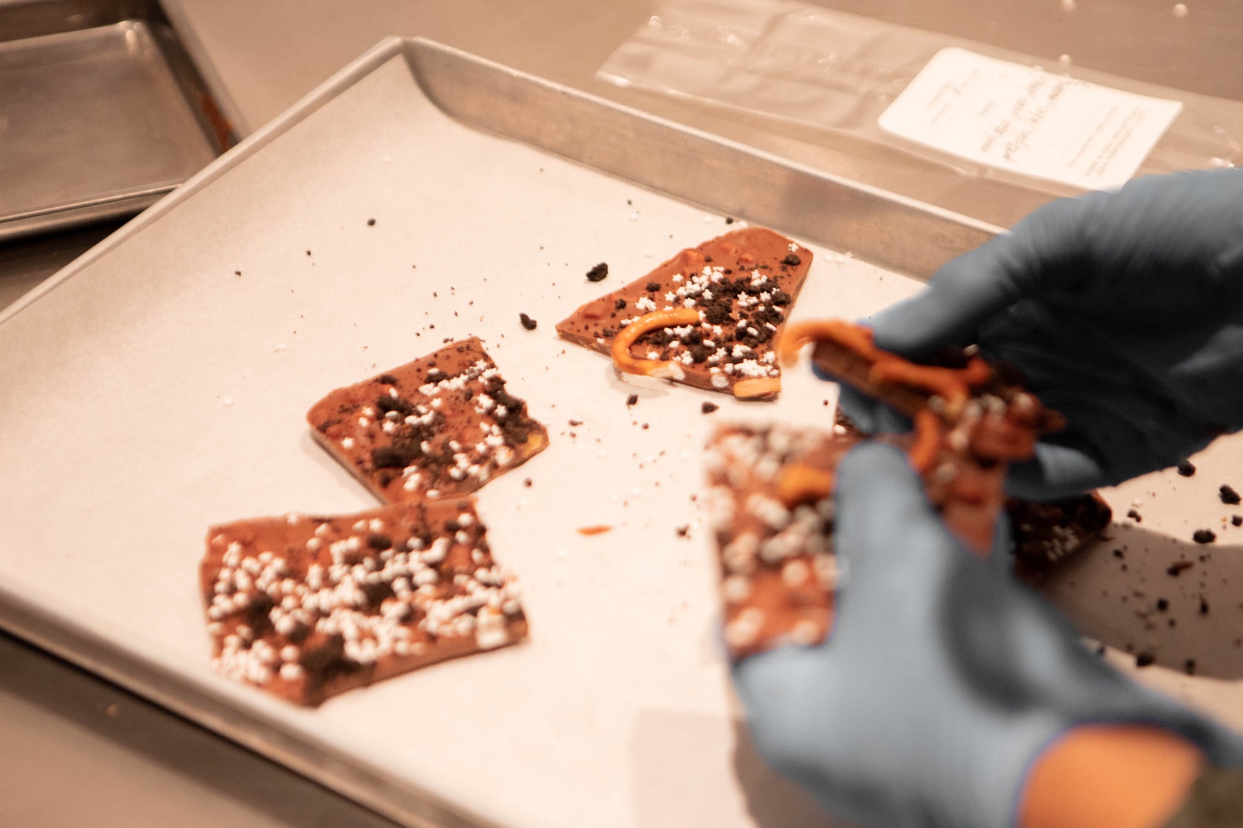 [SEPTEMBER SPECIAL] Little Cacao Explorers