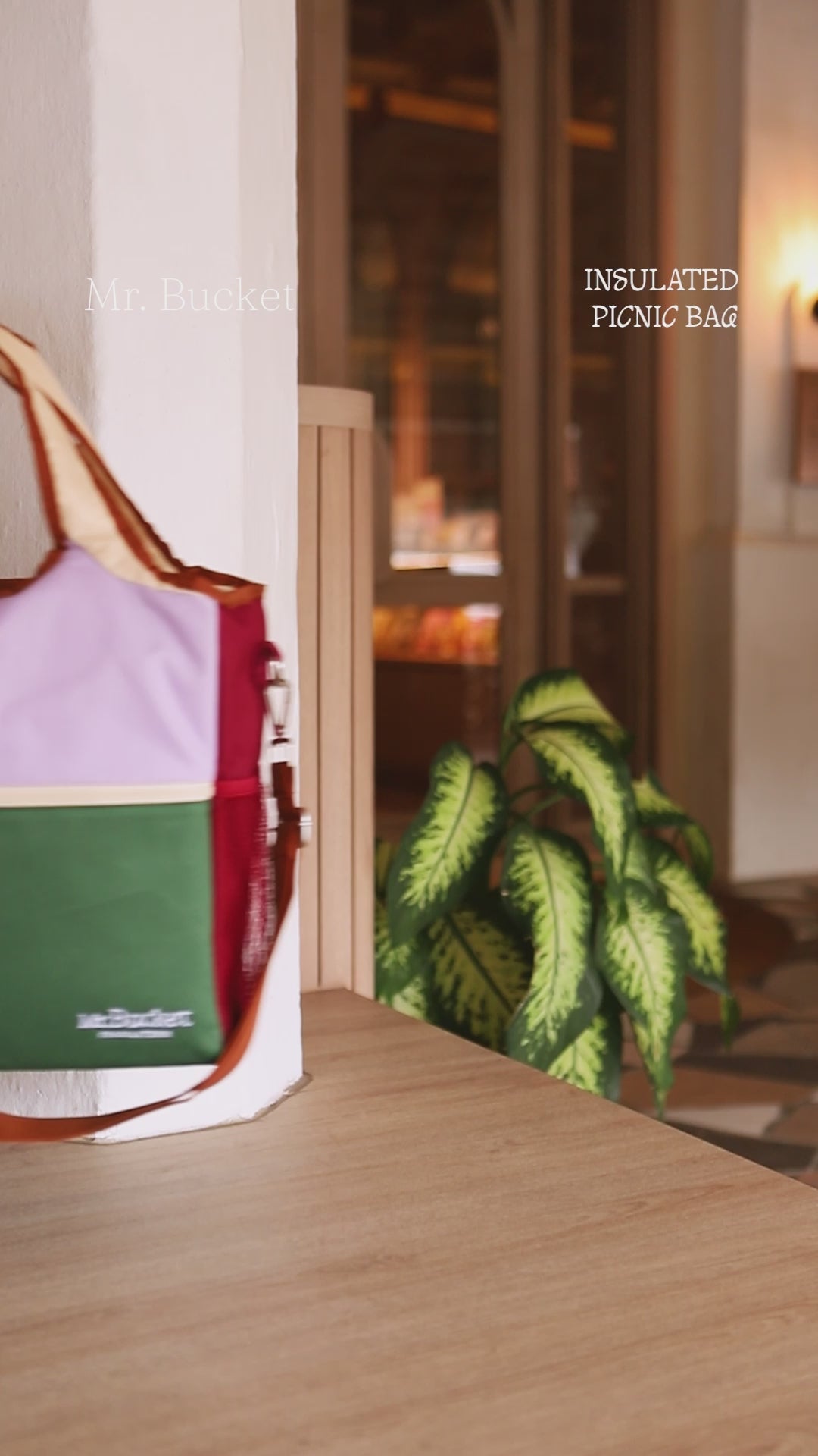 Insulated Picnic Bag